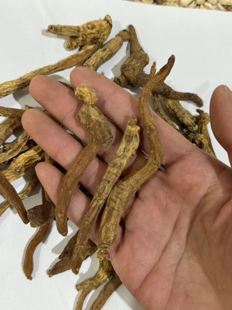 红参个保庆药业东北红参无糖货不对板直接退