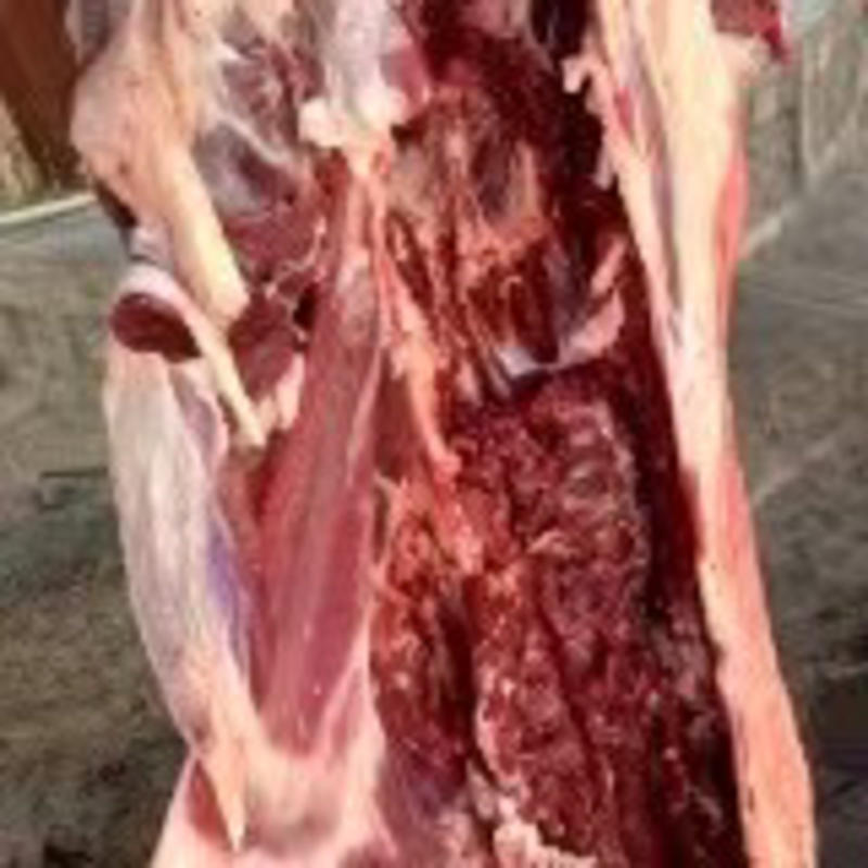羊肉剔骨精修无油山羊肉一手货源厂里直发