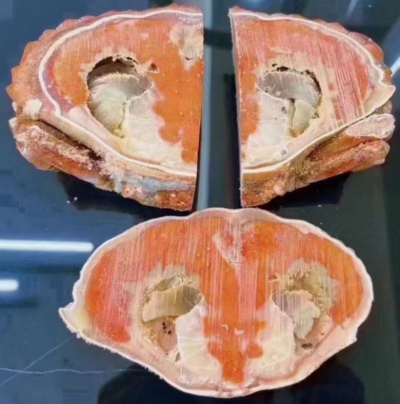 黄金蟹面包蟹海蟹珍宝蟹黄道蟹海鲜活体熟冻即食新鲜面包蟹