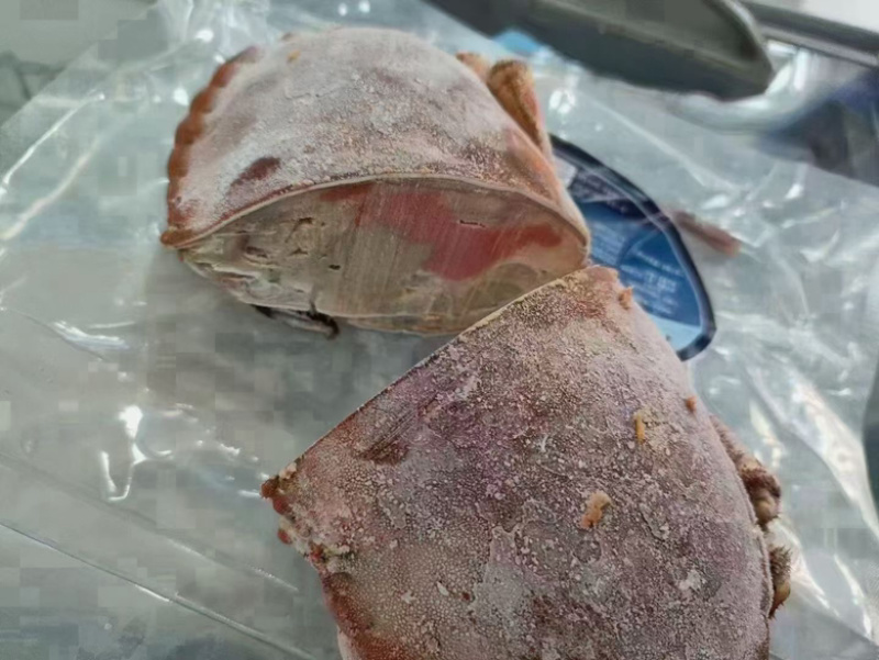 黄金蟹面包蟹海蟹珍宝蟹黄道蟹海鲜活体熟冻即食新鲜面包蟹
