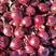 精品紫皮洋葱大量供应产地一手货源保质保量
