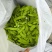 汉中本地露天荷兰豆上市了，片直颜色青，装车方便