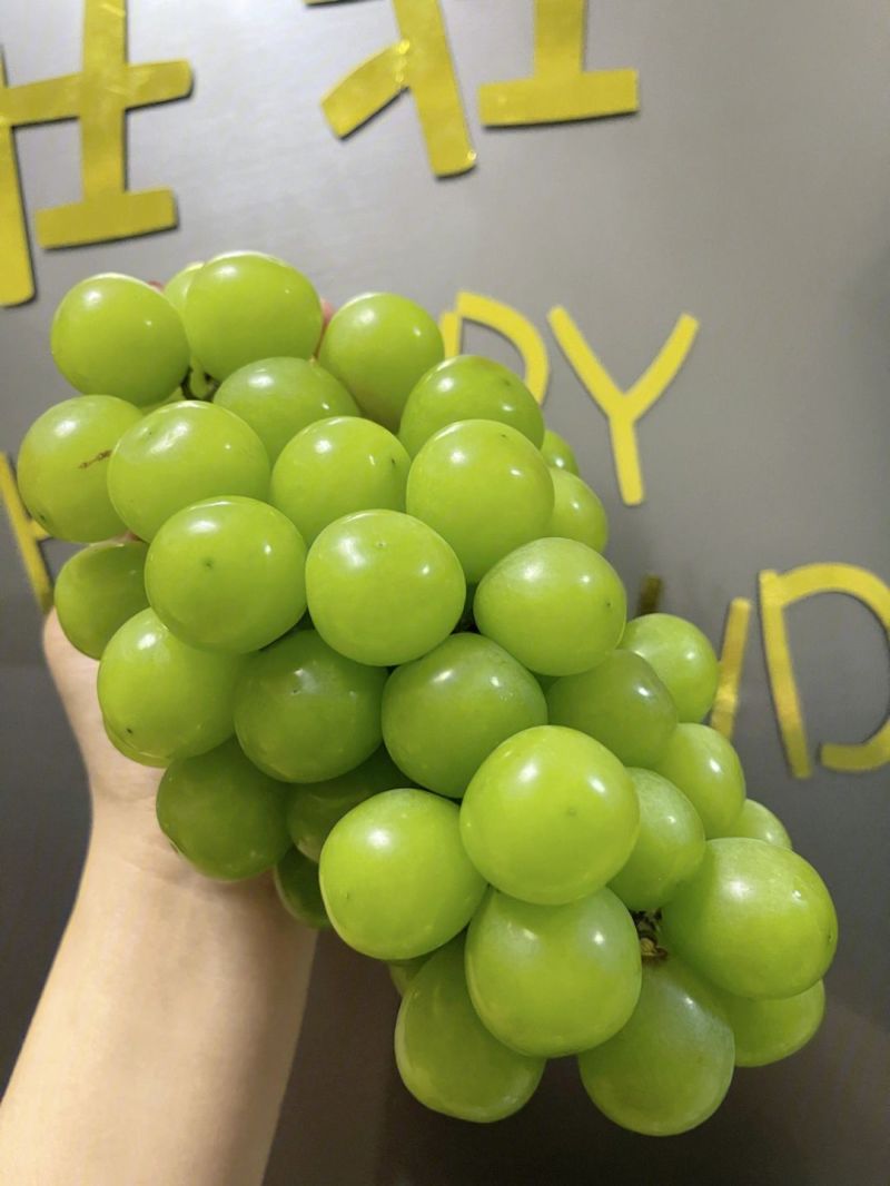 阳光玫瑰葡萄陕西葡萄大量供应现摘现发量大现货