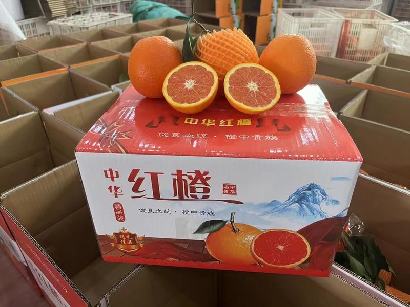【推荐】中华红血橙水分充足口感甜入口即化可视频看货