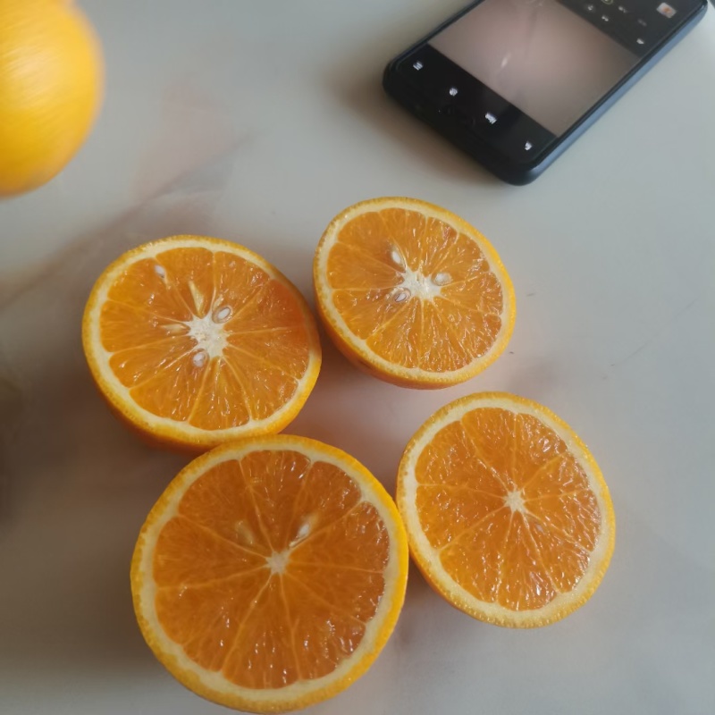 《热卖》夏橙鲜果皮薄汁多水分充足口感甜现摘现发