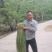 好贡菜