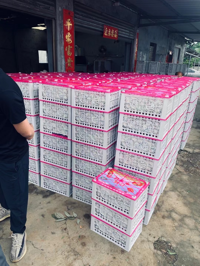 🅰518珍珠油桃曙光金雷金硕基地直发质量三包