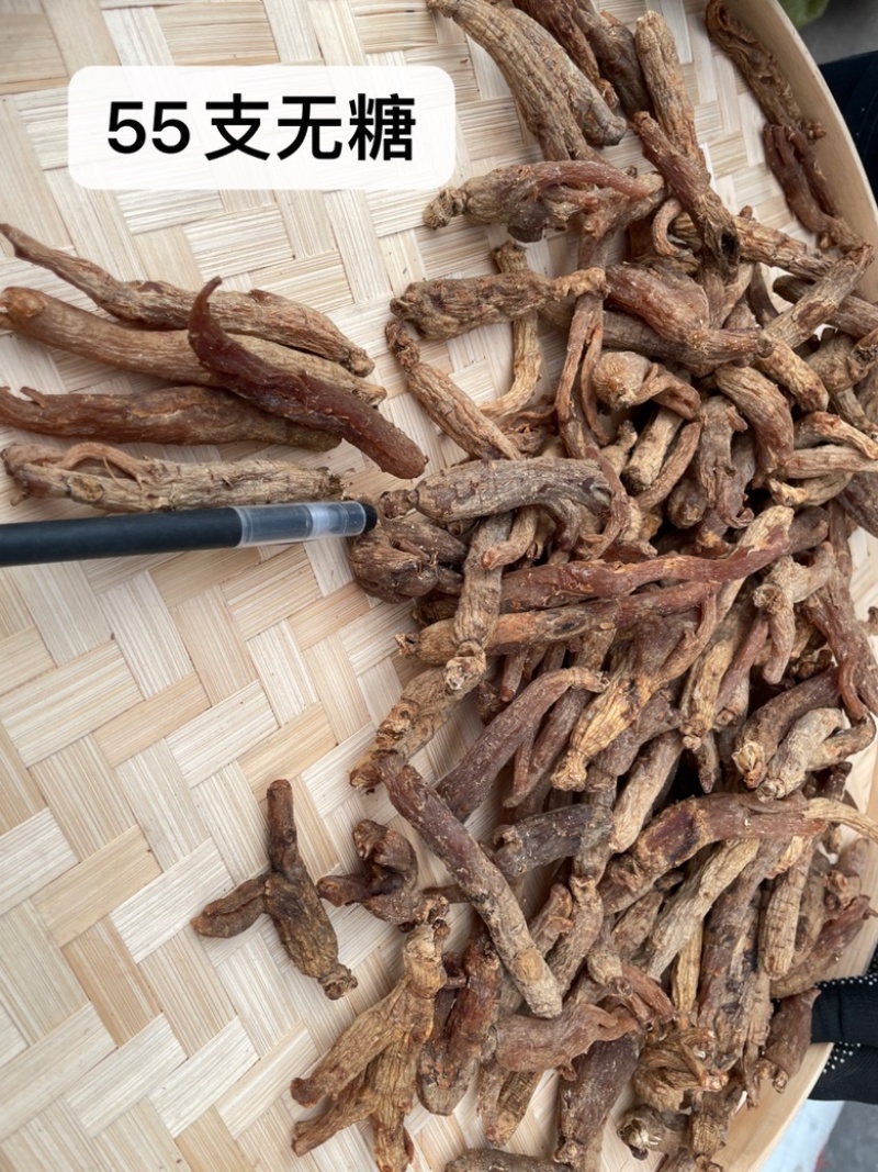 东北长白山无糖红参光支