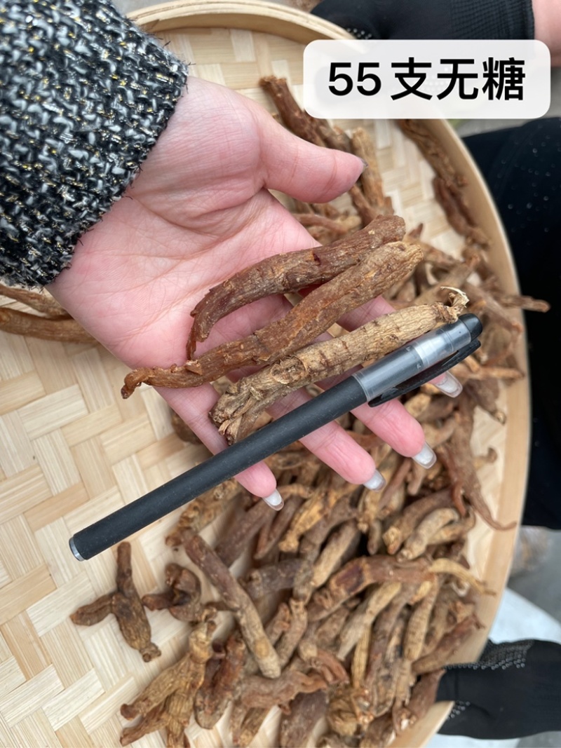 东北长白山无糖红参光支