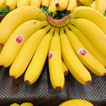 菲律宾精品香蕉，净重27斤，毛重30斤，保质保量全国发货
