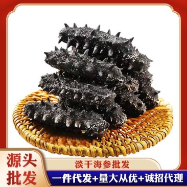 淡干海参干货辽刺参干参礼盒高刺海参批发干货非即食
