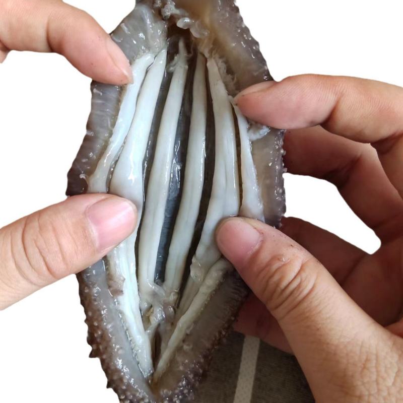 淡干海参干货辽刺参干参礼盒高刺海参批发干货非即食
