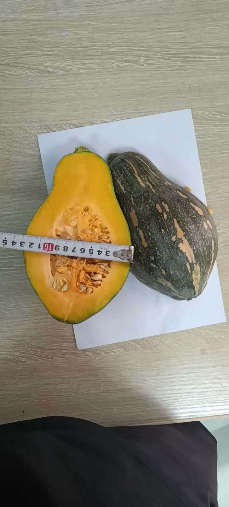 香芋南瓜苗