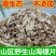 【野生山海螺】大别山无硫四叶参羊乳参奶参通乳草包邮