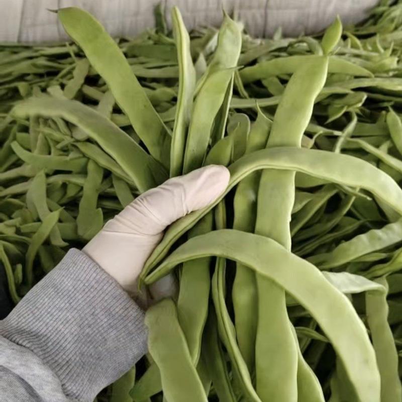 山东莘县大扁芸豆大量供应，代收产地多种蔬菜，货源充足