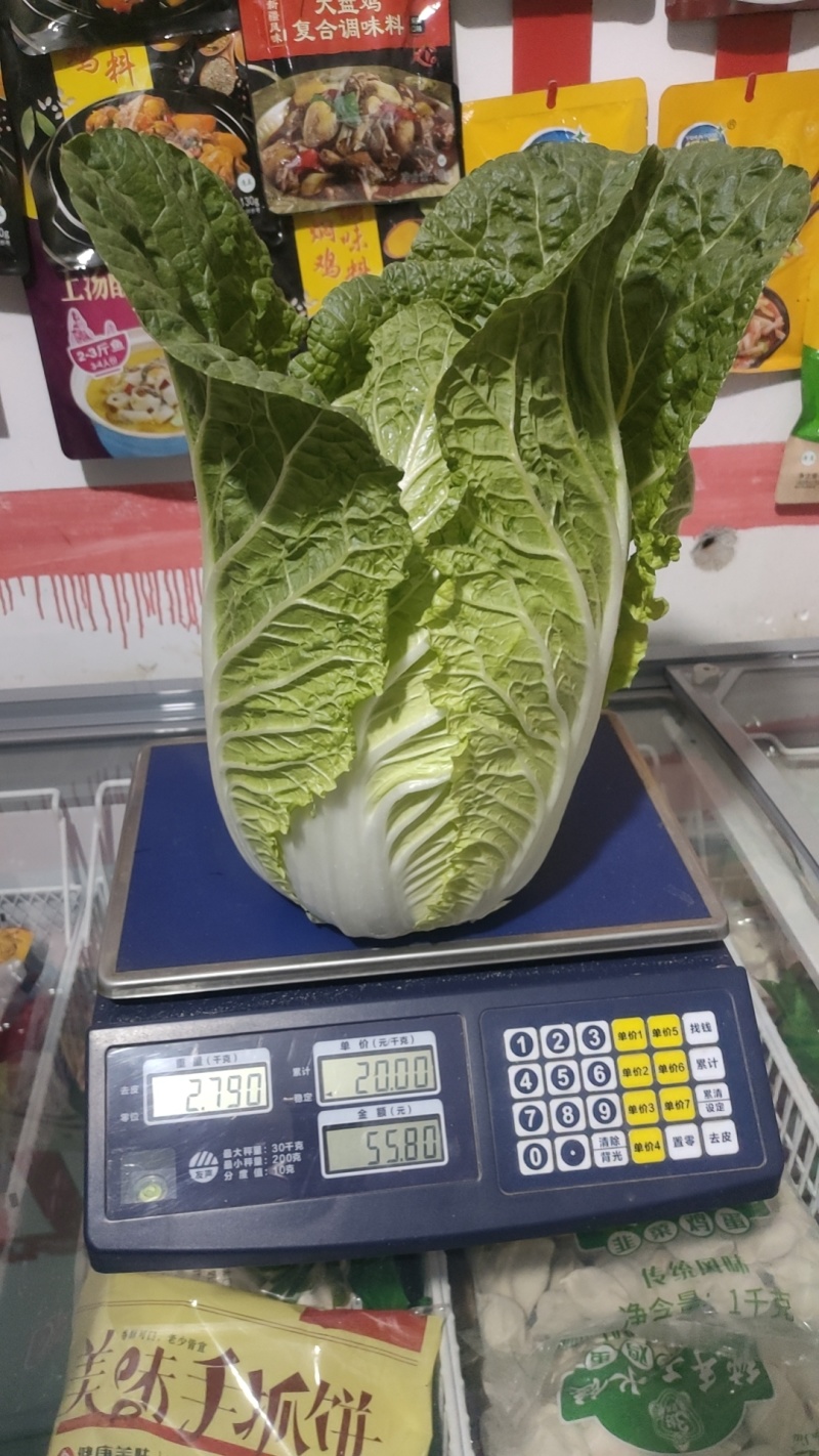 定州黄心玲珑黄012白菜