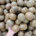 广西大个厚肉罗汉果