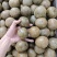广西大个厚肉罗汉果