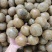 广西大个厚肉罗汉果