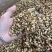 玳玳花代代花茶正品玳玳花货不对板直接退非柚子花
