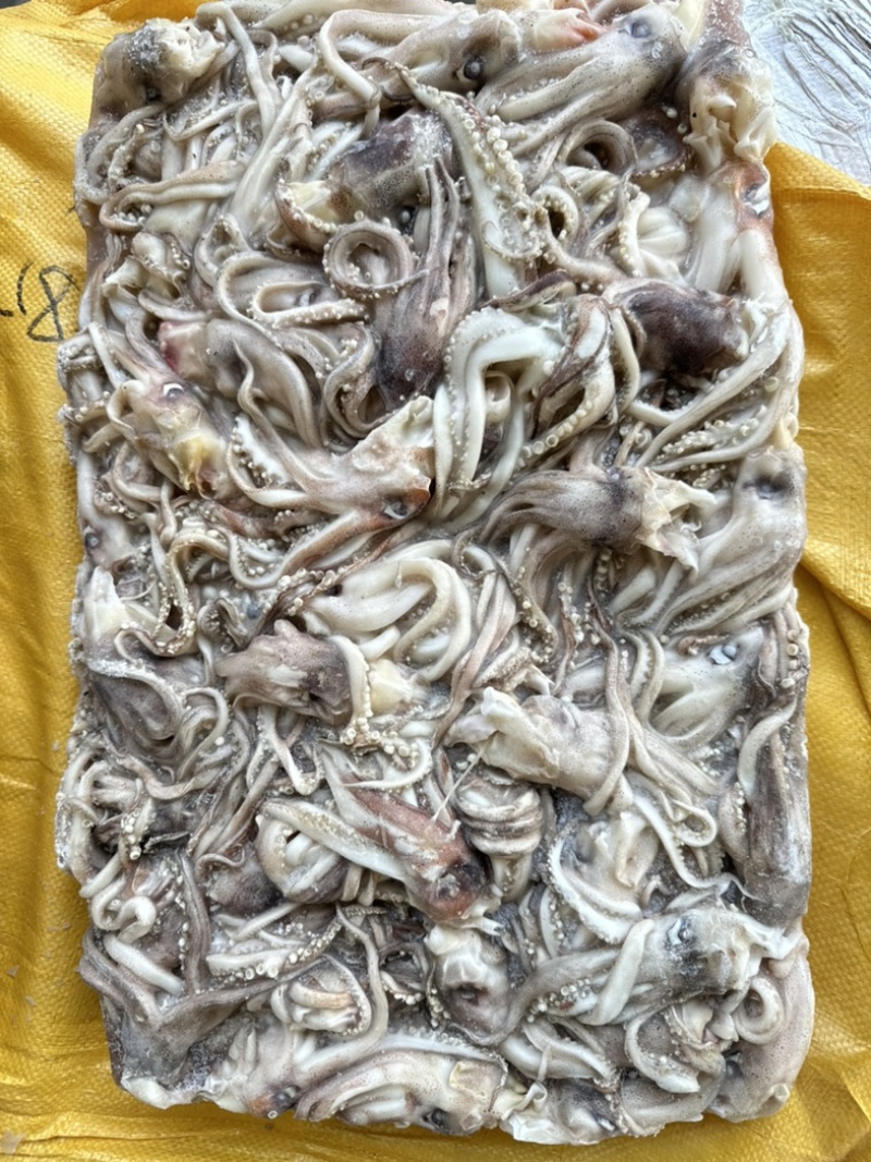 船冻原料鱿鱼头，规格69/90克，原汁货，无泡发，
