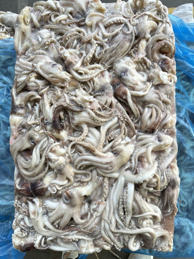 船冻原料鱿鱼头，规格69/90克，原汁货，无泡发，
