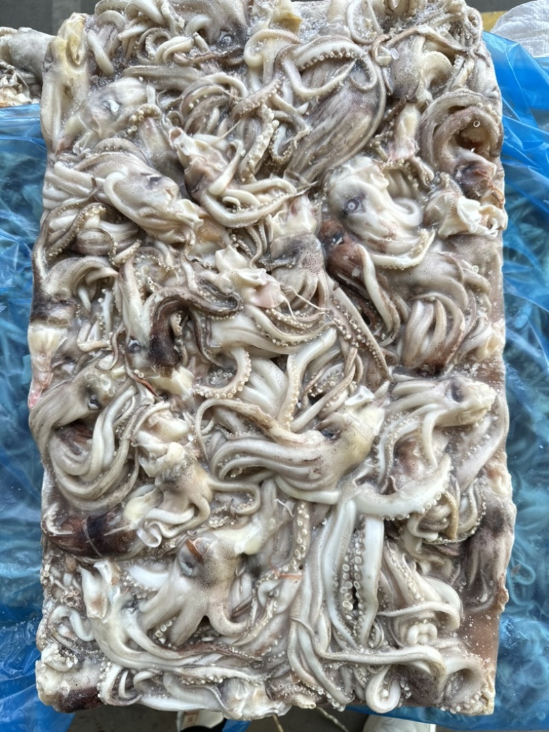 船冻原料鱿鱼头，规格69/90克，原汁货，无泡发，