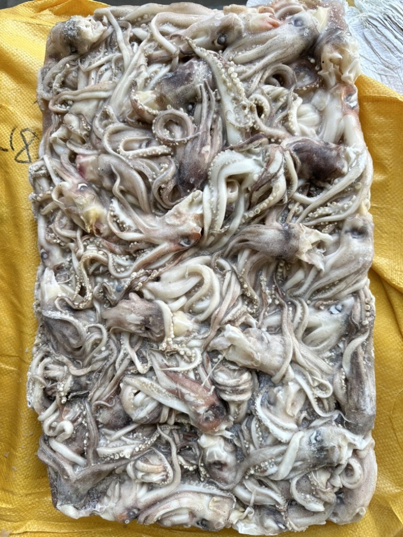 船冻原料鱿鱼头，规格69/90克，原汁货，无泡发，