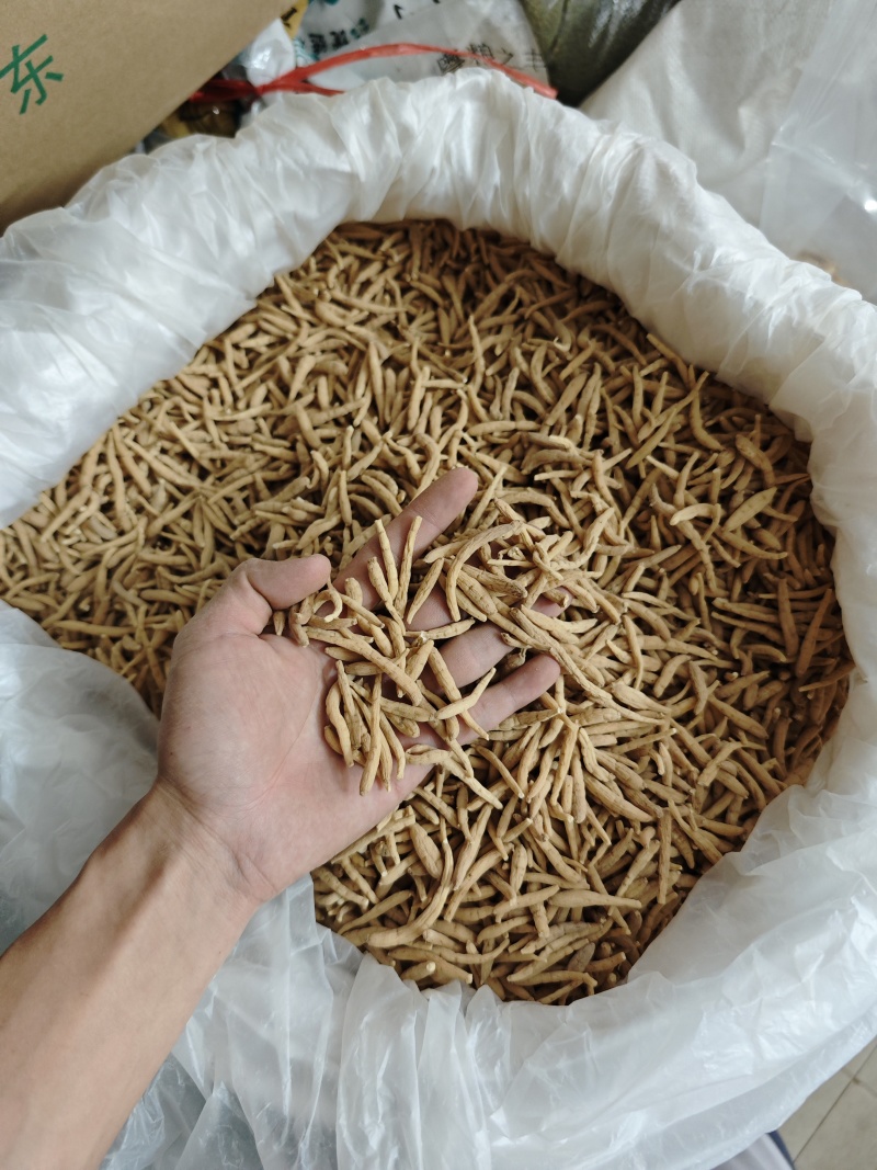 纯无硫磺太子参，大条无异味，粉甜，新货