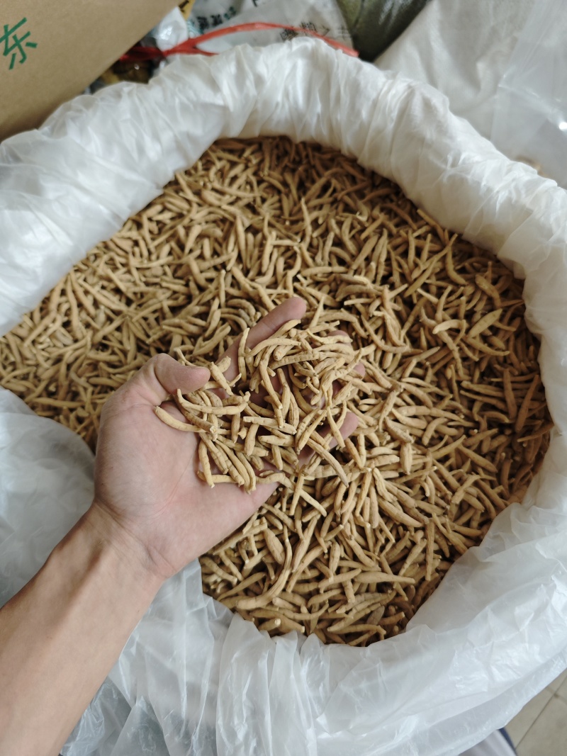 纯无硫磺太子参，大条无异味，粉甜，新货