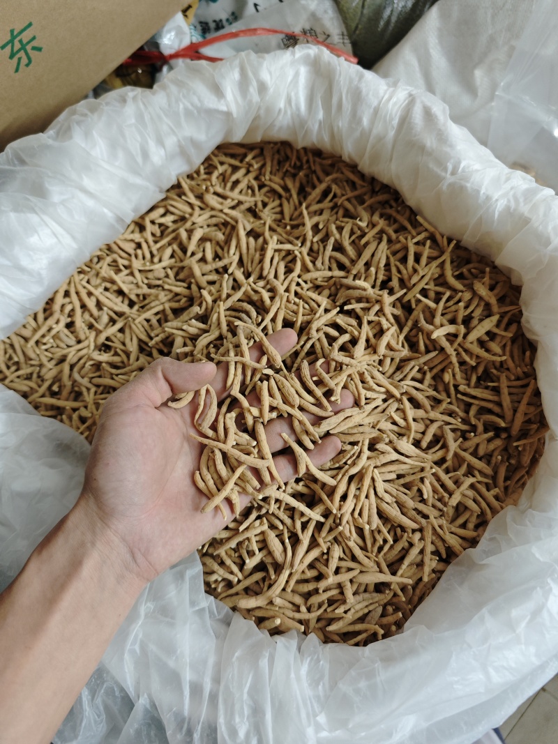 纯无硫磺太子参，大条无异味，粉甜，新货