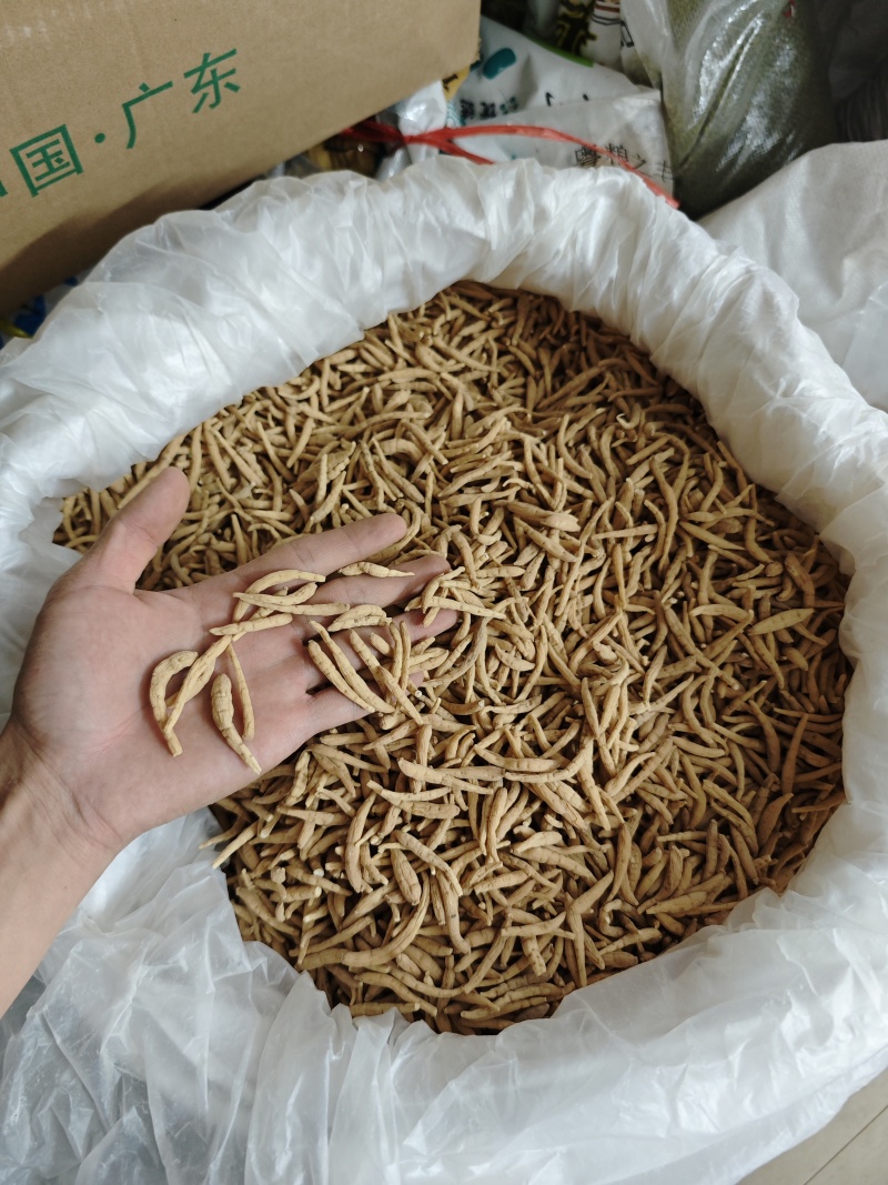 纯无硫磺太子参，大条无异味，粉甜，新货