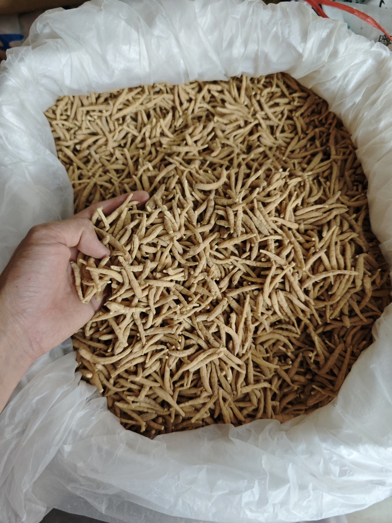 纯无硫磺太子参，大条无异味，粉甜，新货