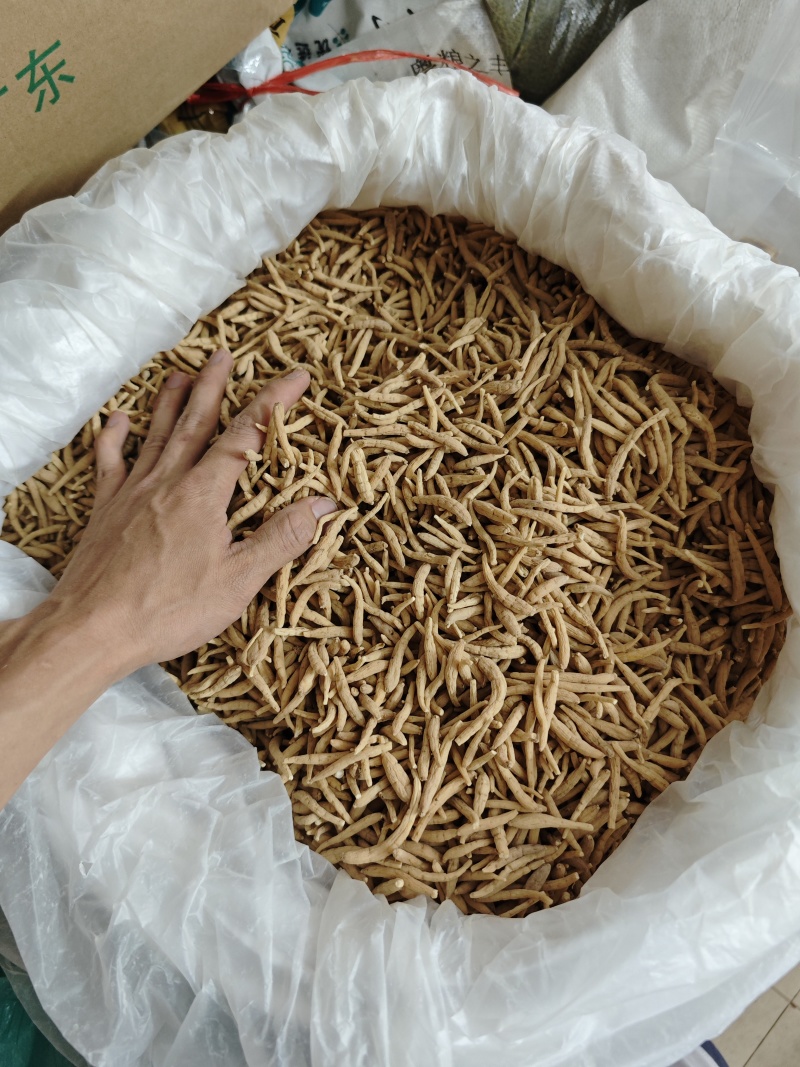 纯无硫磺太子参，大条无异味，粉甜，新货