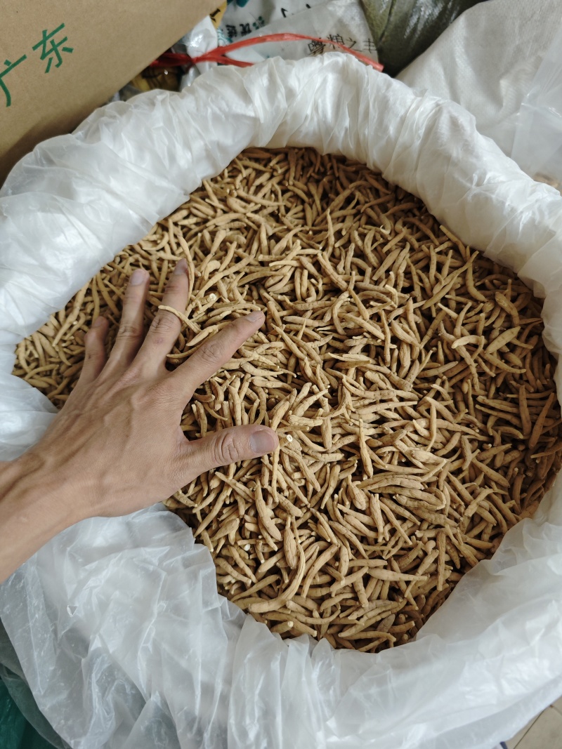 纯无硫磺太子参，大条无异味，粉甜，新货