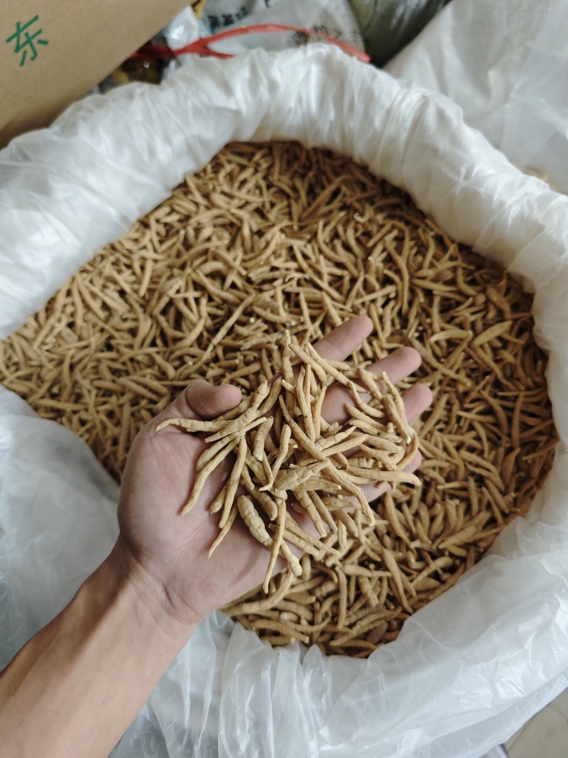 纯无硫磺太子参，大条无异味，粉甜，新货