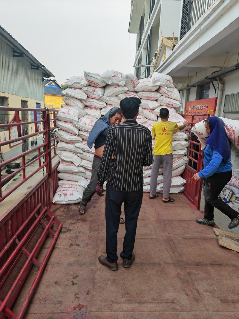 你好，今天老挝香米价额不错，大量现货可以长期合作