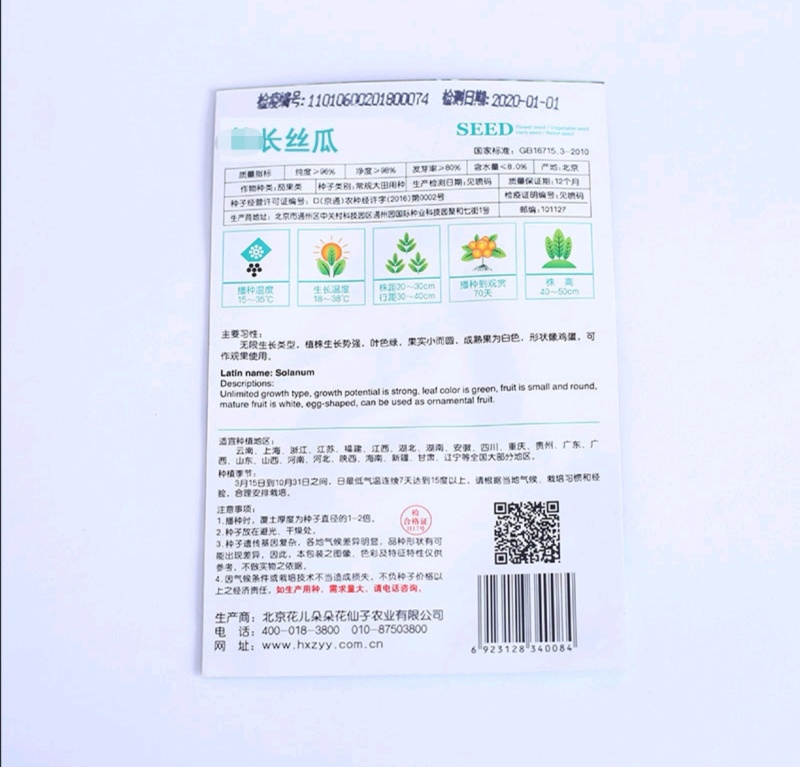 长丝瓜种子2米长观光园长廊丝瓜种籽观赏食用瓜果丝瓜瓜条长