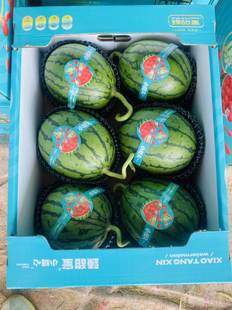 全美2k西瓜，手撕糖丸西瓜，口口脆，产地直供