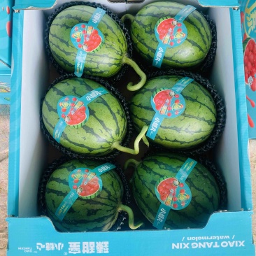 全美2k西瓜，手撕糖丸西瓜，口口脆，产地直供