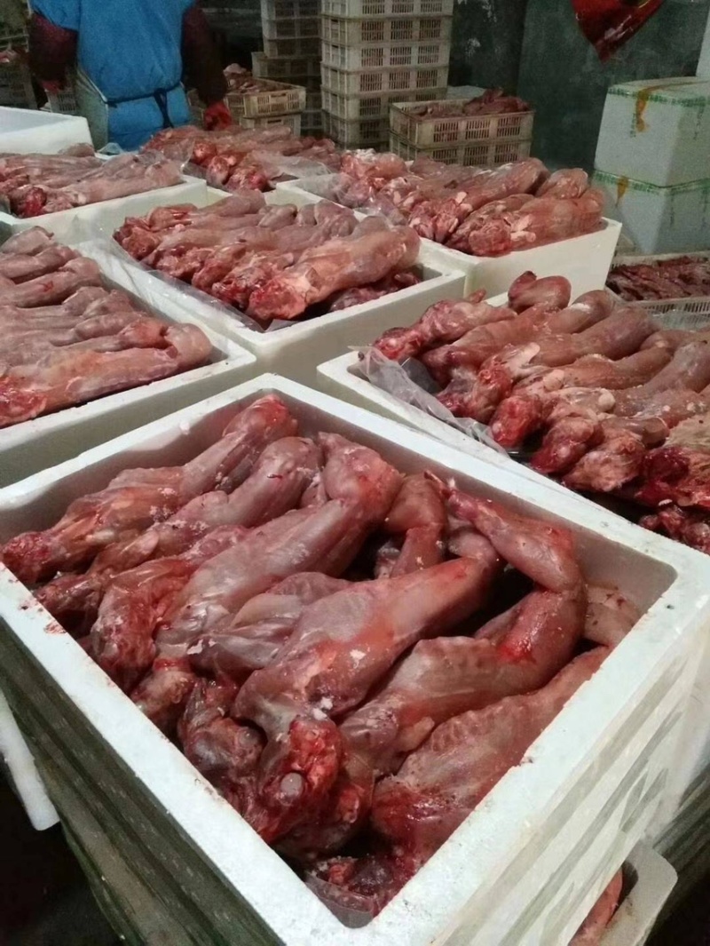 带头去头兔肉新鲜现杀整只诚信经营支持视频看货