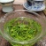 春茶龙井恩施玉露二级口粮茶批发