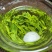 春茶龙井恩施玉露二级口粮茶批发