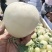 甜瓜白莎蜜甜瓜1斤以上，口感甜脆，一手货源，随到随收