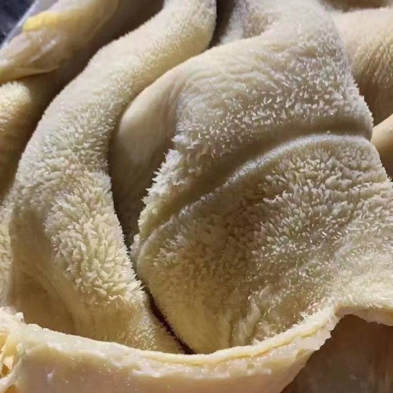【熟牛肚】