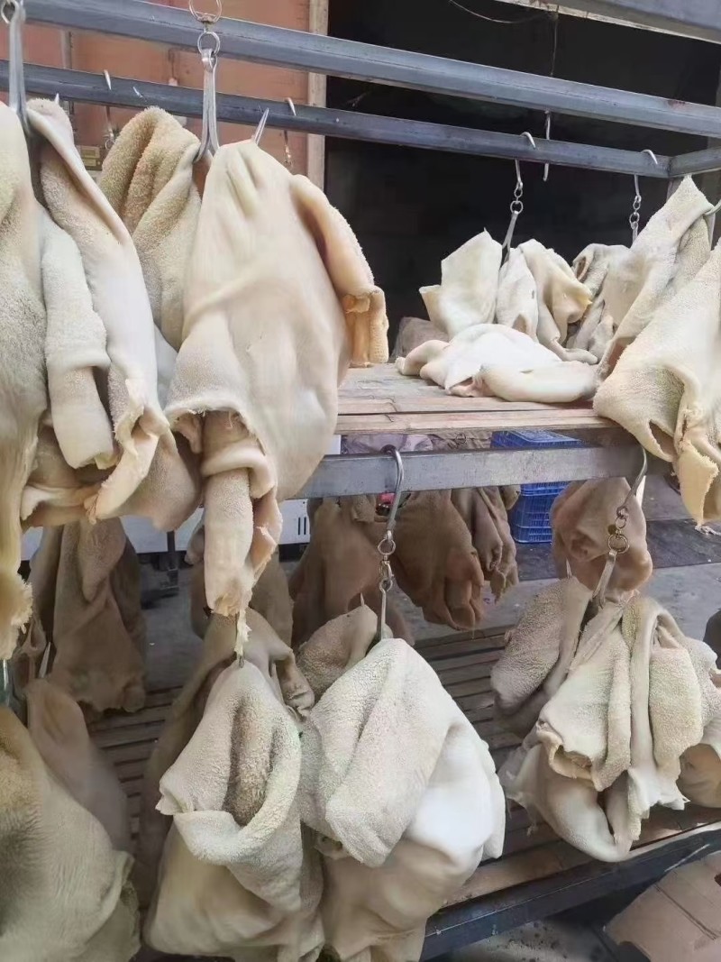【熟牛肚】