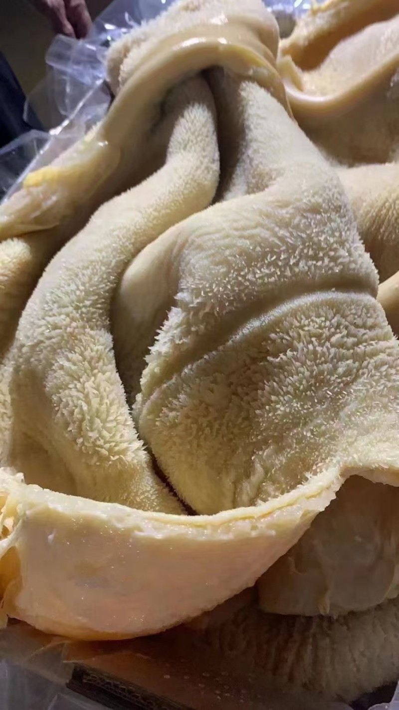 【熟牛肚】
