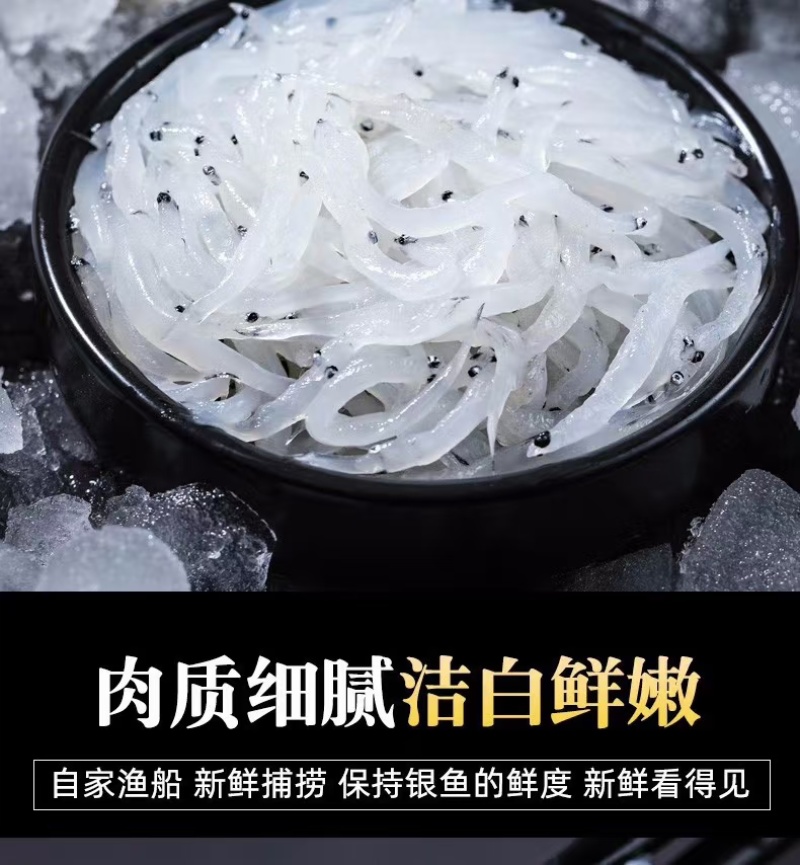 8-10特大银鱼大量供应，一手货源新鲜发货