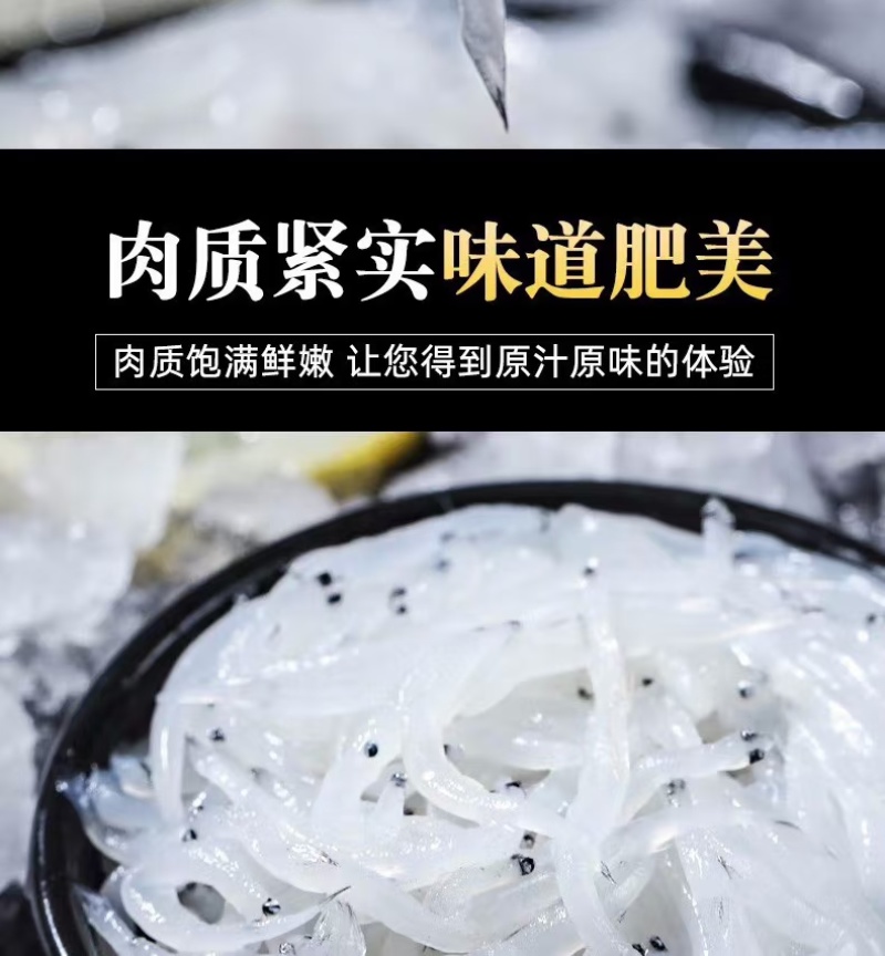 8-10特大银鱼大量供应，一手货源新鲜发货