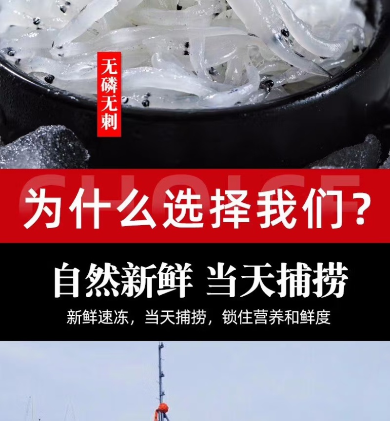 8-10特大银鱼大量供应，一手货源新鲜发货